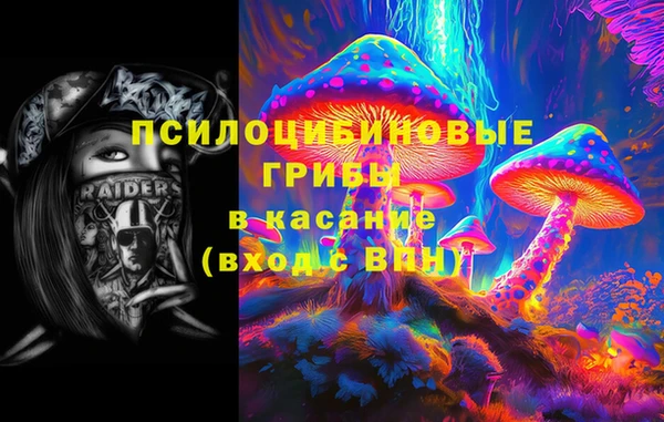 трава Арсеньев