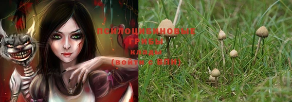 хмурый Абинск