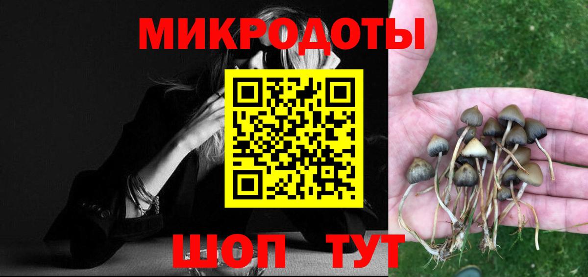 Омск  Галлюциногенные грибы Psilocybine cubensis  Вход с VPN  Псилоцибиновые грибы ЛСД 